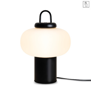 Настольный светильник Freya FR6175TL-L10B